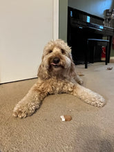 Load image into Gallery viewer, Peanut Butter Frosted Dog Treats
