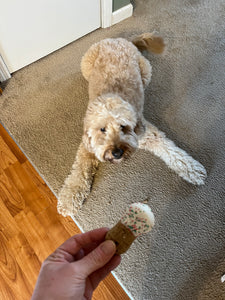 Peanut Butter Frosted Dog Treats